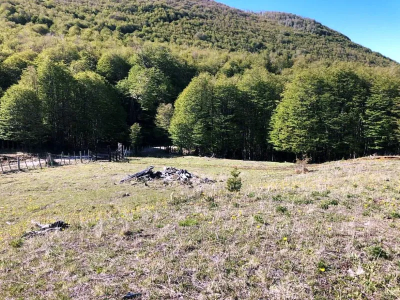 Parcelas Lago Castor, Coyhaique — el terreno, fotografía 5