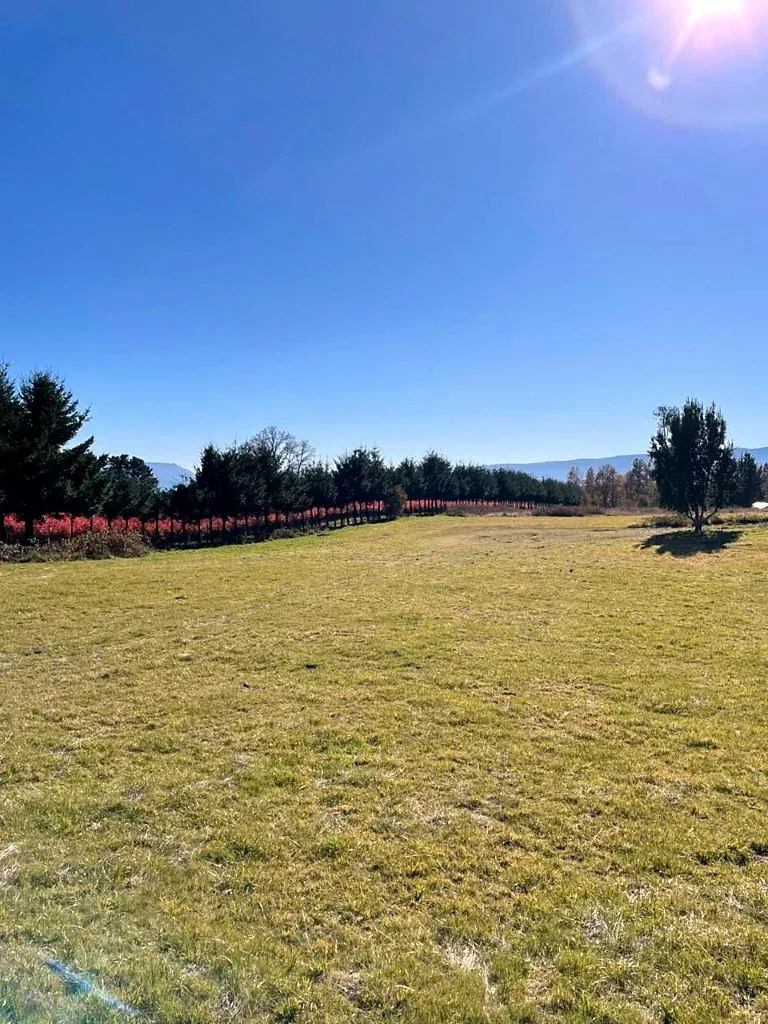 La parcela de 5.000 m² con orientación norte
